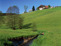 Bach Biederbach (Bildnachweis: Tourismus GmbH & Co.KG  ZweiTälerLand ) Bach Biederbach (Bildnachweis: Tourismus GmbH & Co.KG  ZweiTälerLand )