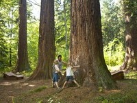 (Bildnachweis: Mit freundlicher Genehmigung der Stadtverwaltung Sulz a.N.)  (Bildnachweis: Mit freundlicher Genehmigung der Stadtverwaltung Sulz a.N.)