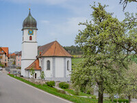 (Bildnachweis: Mit freundlicher Genehmigung der Stadtverwaltung Waldshut-Tiengen (Foto: Dieter Schäuble))  (Bildnachweis: Mit freundlicher Genehmigung der Stadtverwaltung Waldshut-Tiengen (Foto: Dieter Schäuble))