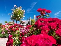 (Bildnachweis: Mit freundlicher Genehmigung der Tourist Information" Am Roseneck" Weilheim)  (Bildnachweis: Mit freundlicher Genehmigung der Tourist Information" Am Roseneck" Weilheim)