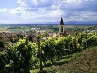 Auggen  (Bildnachweis: Mit freundlicher Genehmigung der Touristikinformation Auggen / Winzerkeller Auggener Sch�f)