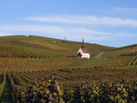 (Bildnachweis: MIt freundlicher Genehmigung der Gemeinde Sasbach,  Frau Heike Scheiding-Brode)  (Bildnachweis: MIt freundlicher Genehmigung der Gemeinde Sasbach,  Frau Heike Scheiding-Brode)