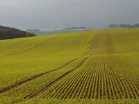 (Bildnachweis: Mit freundlicher Genehmigung der Gemeinde Eggingen, Foto Regio-Experten)  (Bildnachweis: Mit freundlicher Genehmigung der Gemeinde Eggingen, Foto Regio-Experten)