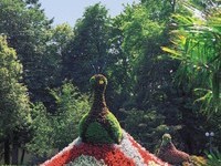 (Bildnachweis:  Mit freundlicher Genehmigung der Kur und Bäder GmbH Bad Krozingen)  (Bildnachweis:  Mit freundlicher Genehmigung der Kur und Bäder GmbH Bad Krozingen)