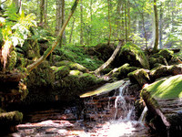 (Bildnachweis: Mit freundlicher Genehmigung der Kurverwaltung Bad Liebenzell GmbH)  (Bildnachweis: Mit freundlicher Genehmigung der Kurverwaltung Bad Liebenzell GmbH)