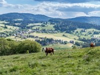 (Bildnachweis: Mit freundlicher Genehmigung Tourist Information Bernau)  (Bildnachweis: Mit freundlicher Genehmigung Tourist Information Bernau)