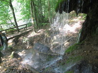 (Bildnachweis: Mit freundlicher Genehmigung der Touristinformation Bonndorf )  (Bildnachweis: Mit freundlicher Genehmigung der Touristinformation Bonndorf )