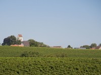 (Bildnachweis: Gemeinde Buggingen)  (Bildnachweis: Gemeinde Buggingen)