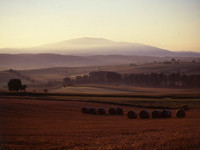 (Bildnachweis: Gemeinde Efringen-Kirchen)  (Bildnachweis: Gemeinde Efringen-Kirchen)