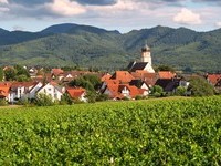 (Bildnachweis: Copyright und Fotograf: Th. Coch)  (Bildnachweis: Copyright und Fotograf: Th. Coch)