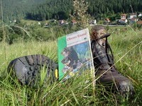 (Bildnachweis: Mit freundlicher Genehmigung der Tourist Information Enzklösterle)  (Bildnachweis: Mit freundlicher Genehmigung der Tourist Information Enzklösterle)