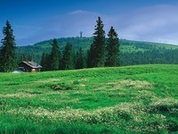 (Bildnachweis: Copyright der Hochschwarzwald Tourismus GmbH)  (Bildnachweis: Copyright der Hochschwarzwald Tourismus GmbH)