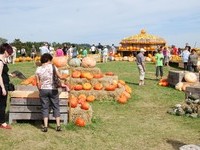 (Bildnachweis: Tourist-Information Höchenschwand, Fotograf: Erich Spiegelhalter, Klaus Hansen)  (Bildnachweis: Tourist-Information Höchenschwand, Fotograf: Erich Spiegelhalter, Klaus Hansen)