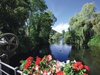 (Bildnachweis: Mit freundlicher Genehmigung der Stadt Horb am Neckar)  (Bildnachweis: Mit freundlicher Genehmigung der Stadt Horb am Neckar)