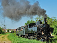 (Bildnachweis: Mit freundlicher Genehmigung der Tourist-Information Kandern)  (Bildnachweis: Mit freundlicher Genehmigung der Tourist-Information Kandern)