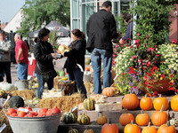 (Bildnachweis: Mit freundlicher Genehmigung der Stadt Neuenburg am Rhein)  (Bildnachweis: Mit freundlicher Genehmigung der Stadt Neuenburg am Rhein)
