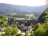 (Bildnachweis: Mit freundlicher Genehmigung der Stadt Oppenau) (Bildnachweis: Mit freundlicher Genehmigung der Stadt Oppenau)