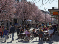 (Bildnachweis: Schulte Kellinghaus) (Bildnachweis: Schulte Kellinghaus)