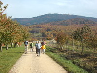(Bildnachweis: Mit freundlicher Genehmigung der Stadt Schliengen)  (Bildnachweis: Mit freundlicher Genehmigung der Stadt Schliengen)