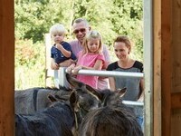 (Bildnachweis: Schramberg Tourismus)  (Bildnachweis: Schramberg Tourismus)