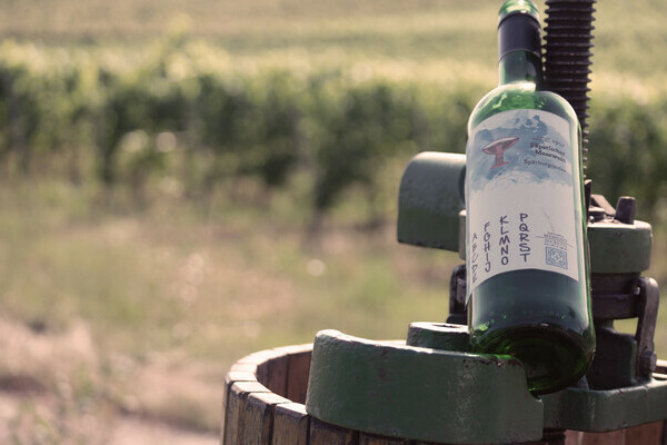 Eduardo & das Weingeheimnis Bildnachweis: Mit freundlicher Genehmigung von Berggeheimnis