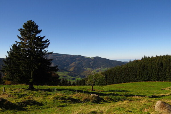 Copyright: (4ws-Netdesign)  Copyright: (4ws-Netdesign)